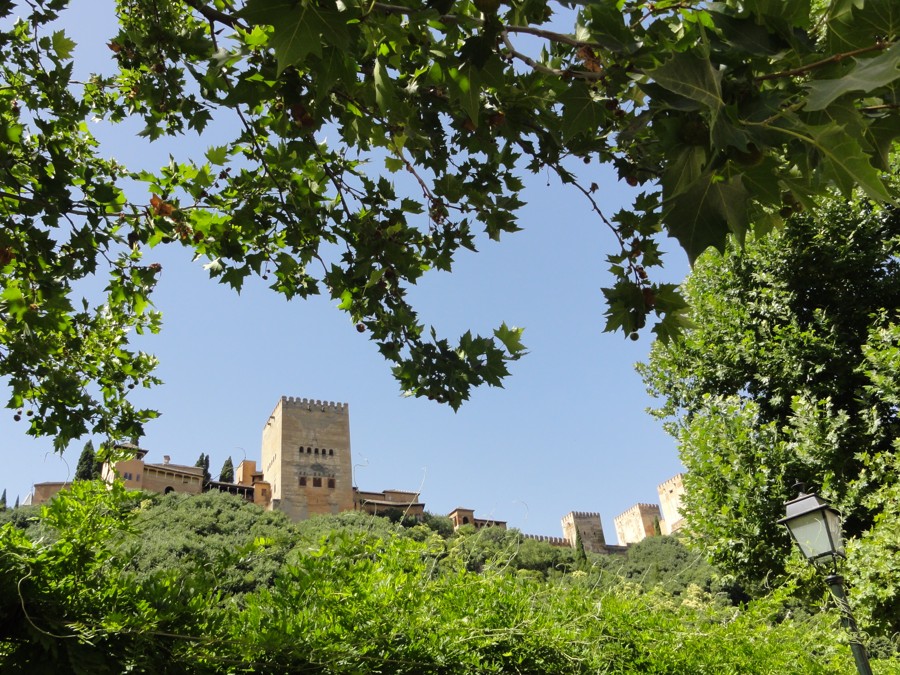 Výhled na Alhambru